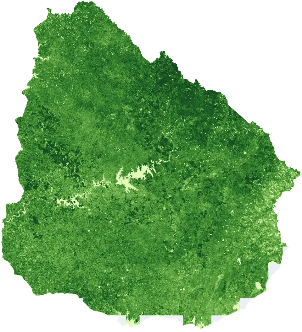 Mapa del Uruguay coloreado según Radiación fotosintéticamente activa absorbida
