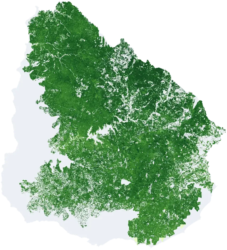 Mapa del Uruguay coloreado según Productividad primaria neta aérea